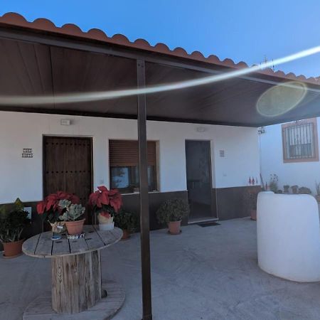 Apartamentos La Palmera Fernan Perez المظهر الخارجي الصورة
